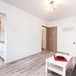 Rent 1 bedroom apartment of 27 m² in Łódź