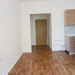 Rent 2 bedroom apartment in Děčín