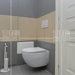 Rent 1 bedroom apartment of 60 m² in Roma