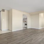  appartement avec 1 chambre(s) en location à Windsor, ON