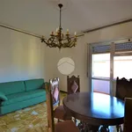 Rent 3 bedroom apartment of 85 m² in Sedriano