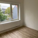 Huur 1 slaapkamer appartement in Zelzate