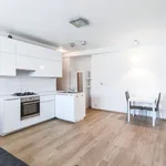 Rent 2 bedroom apartment of 41 m² in Capital City of Prague