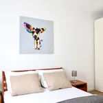 Rent 3 bedroom apartment of 70 m² in Cologne