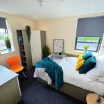 Rent 1 bedroom flat in Sheffield