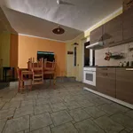 Rent 2 bedroom apartment of 35 m² in Collegno