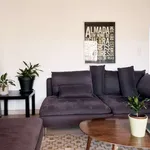 Rent 1 bedroom apartment of 60 m² in lisbon