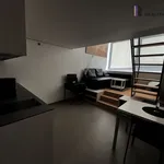 Rent 1 bedroom apartment of 41 m² in Zlín