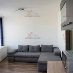 Rent 1 bedroom apartment of 30 m² in Szeged