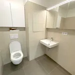 Rent 1 bedroom apartment in Brno