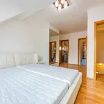 Rent 1 bedroom house of 82 m² in Praha 5 - Smíchov