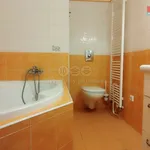 Rent 1 bedroom apartment in Praha 10