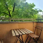 Rent a room in berlin