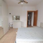 2-room flat excellent condition, first floor, Monsummano Terme