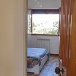 Rent 2 bedroom apartment of 65 m² in Roma