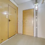 Rent 1 bedroom apartment of 33 m² in Plzeň