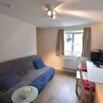 Rent 1 bedroom house of 35 m² in Ghent