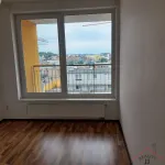 Rent 2 bedroom apartment of 59 m² in Prague