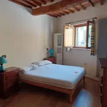 Rent 3 bedroom apartment of 70 m² in Pisa