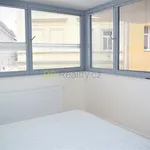 Rent 1 bedroom apartment of 48 m² in Brno