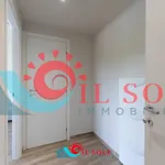 Rent 2 bedroom apartment of 70 m² in pisa