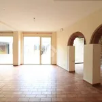 Rent 4 bedroom apartment of 170 m² in Montelupo Fiorentino