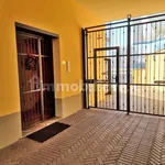 Rent 3 bedroom apartment of 83 m² in Cremona