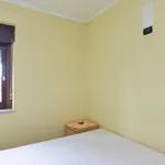 Rent 1 bedroom apartment in Rome