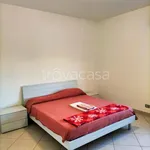 Rent 3 bedroom apartment of 67 m² in Cinisello Balsamo