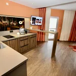 Rent 2 bedroom apartment of 52 m² in Leipzig