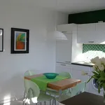 Rent 2 bedroom apartment of 55 m² in Kerpen