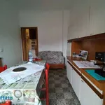 Rent 2 bedroom apartment of 50 m² in Turin