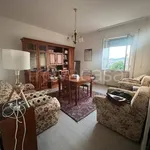 Rent 5 bedroom apartment of 80 m² in Follonica