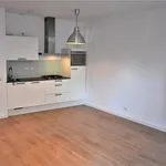 Huur 1 slaapkamer appartement van 53 m² in The Hague