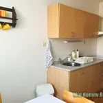 Rent 1 bedroom apartment in Prague