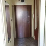 Rent 2 bedroom apartment of 60 m² in Каменица 1