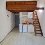 Rent 1 bedroom apartment of 22 m² in Clermont-Ferrand