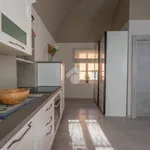 Rent 1 bedroom apartment of 45 m² in Saluzzo