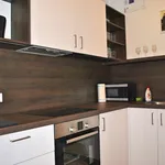 Rent 1 bedroom apartment in Brno