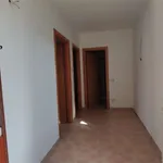 Rent 3 bedroom apartment of 60 m² in Ascea