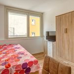 Miete 1 Schlafzimmer wohnung von 17 m² in Munich