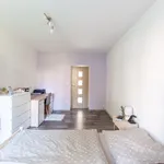 Rent 3 bedroom apartment in Trutnov