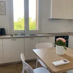 Rent 2 bedroom apartment of 45 m² in Bologna