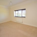 Rent 2 bedroom flat in New Forest