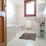 Rent 3 bedroom apartment of 88 m² in Monterotondo