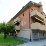 Rent 1 bedroom apartment of 36 m² in Lodi