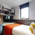 Rent 1 bedroom apartment in London