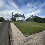 Rent 3 bedroom house in Angus