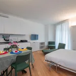 Rent 1 bedroom apartment in Milan