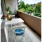 2 room apartment in Schaffhausen, furnished, temporary